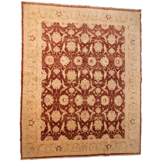 Brown Ziegler Carpet with Cream Border